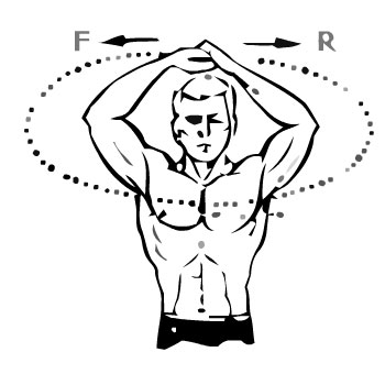 Упражнения для мышц груди и спины